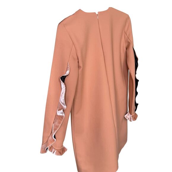 Elisabetta Franchi Size L 44 Abito Dress Mauve Pink Ruffle Trim Statement Sleeve - Picture 5 of 16